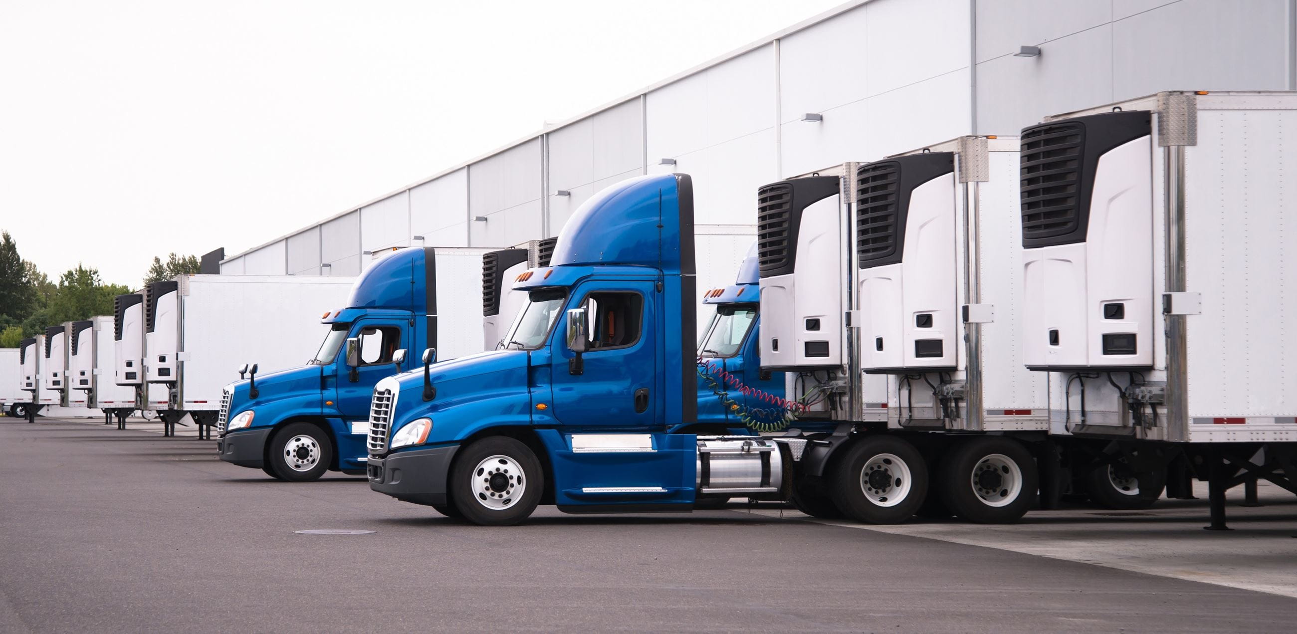 Cold Chain Logistics: Transportation | LeasePlan United States